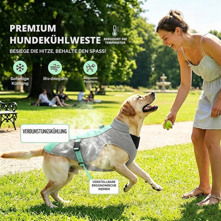 Verbesserte Hundekühlweste mit Sonnenschutz - Atmungsaktive Mesh-Weste für Hunde - Reflektierende St