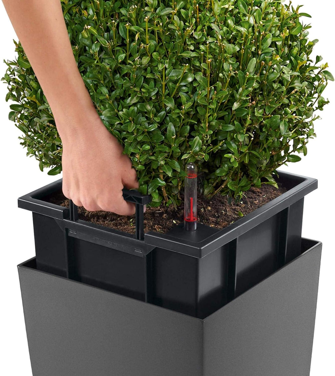 LECHUZA CUBICO Premium 22 anthrazit metallic 18463 22x22x41 cm Anthrazit Metallic, 22x22x41 cm Anthr