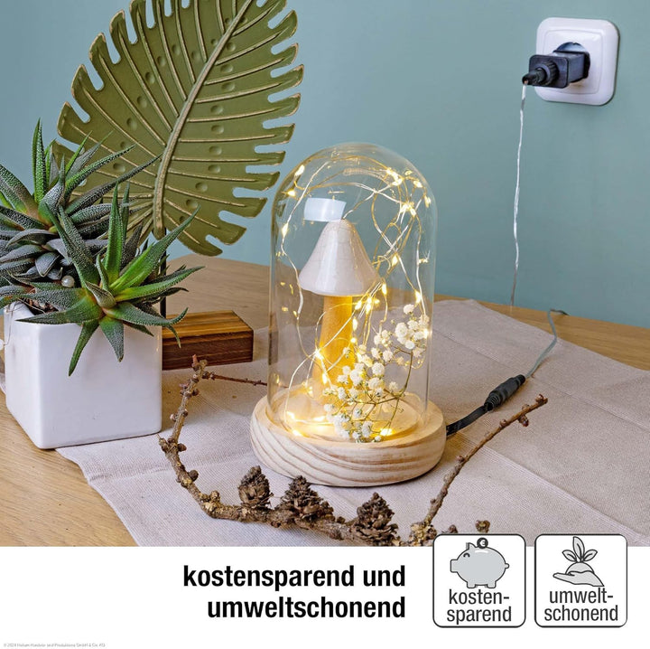 Hellum Batterie Adapter 3X AAA, Ersatz für 3X AAA Batterien 1,8m transparentes Kabel,4,5V Netzteil A