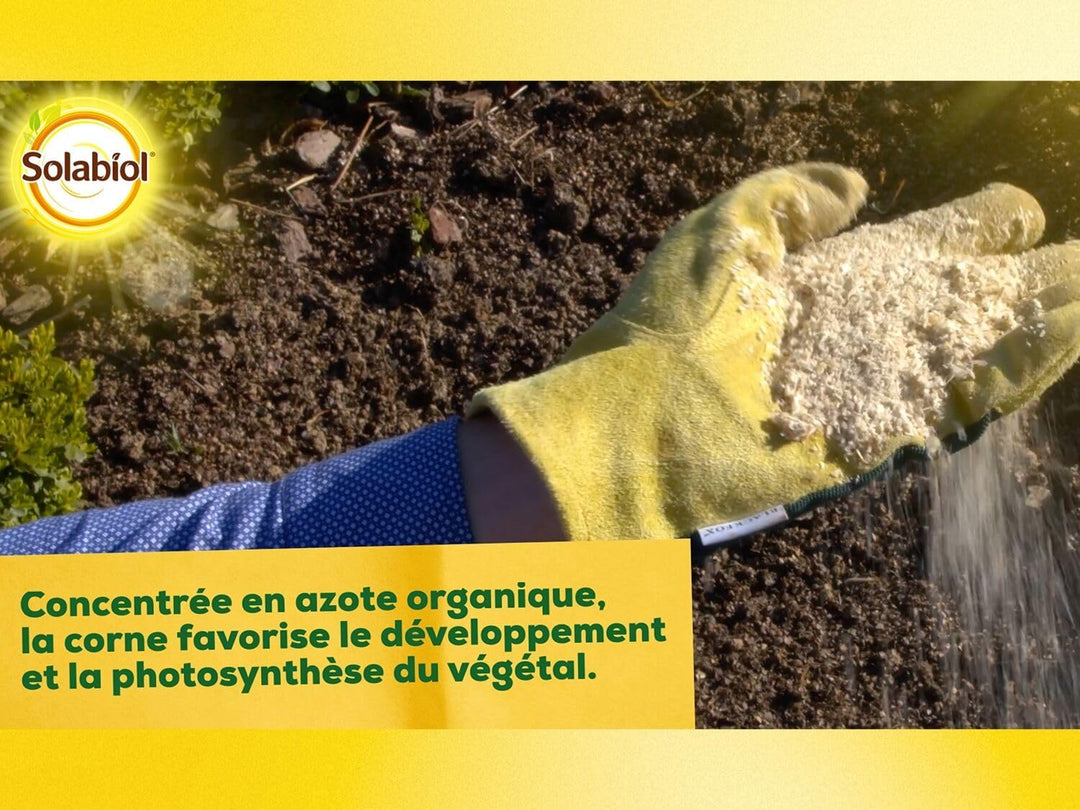 SBM SOLABIOL CORNE D Origine NATURELLE SEAU 4 KG SOCOR4
