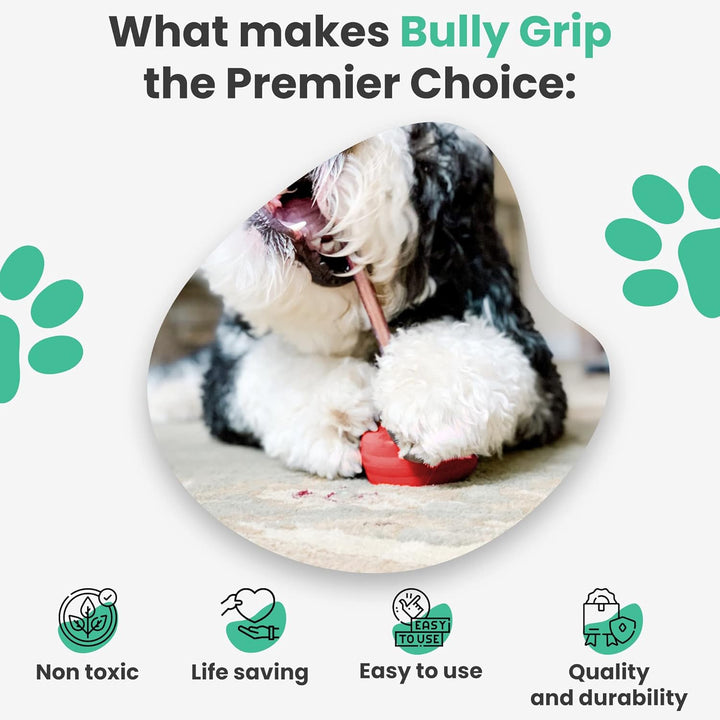 Bully Stick Halter für Hunde - Grosse Grösse - Interaktives Hundespielzeug, Leckerli-Halter, Leckerl