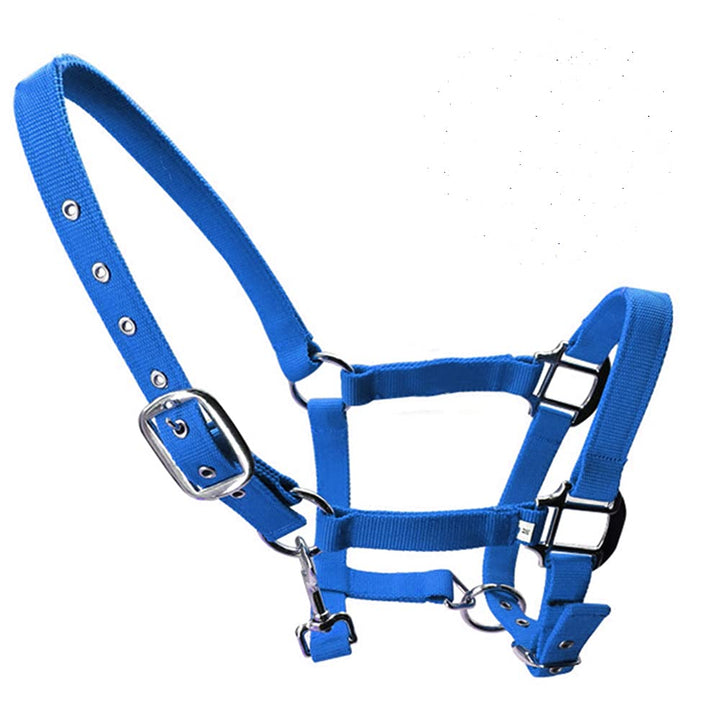 tooloflife Halfter für Fohlen, Pony, Esel, verstellbar, Blau Blue-Small, Blue-Small