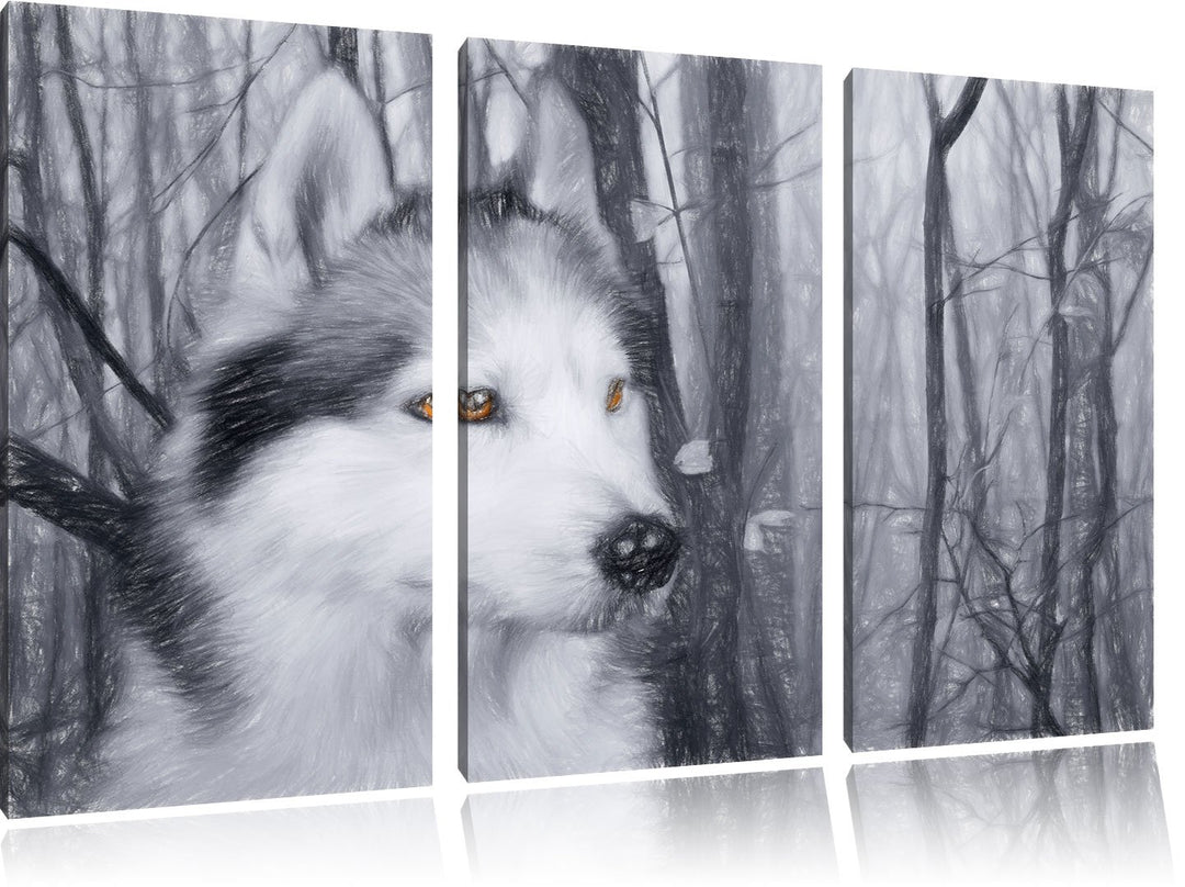 Pixxprint Wachsamer Husky als Leinwandbild/Grösse: 3 Teilig (120x80 cm) cm/Wandbild/Kunstdruck/ferti