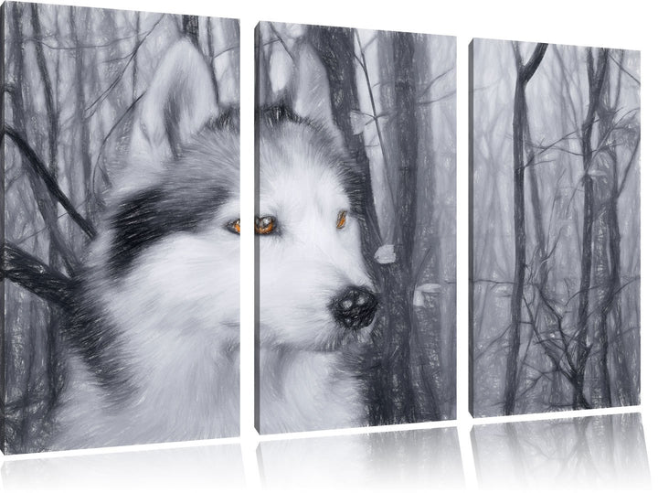 Pixxprint Wachsamer Husky als Leinwandbild/Grösse: 3 Teilig (120x80 cm) cm/Wandbild/Kunstdruck/ferti