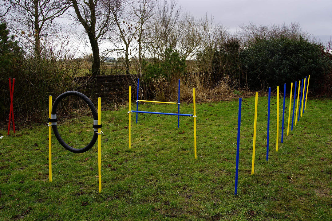 AGILITY-ÜBUNGS-ANFÄNGER-SET BLAU/GELB SPRUNGRING / SLALOM / HÜRDEN