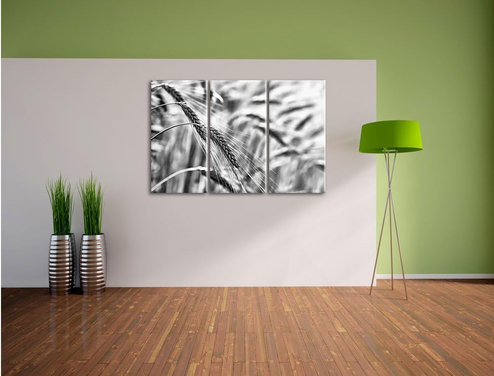 Pixxprint Weizen auf dem Feld als Leinwandbild/Grösse: 3 Teilig (120x80) cm/Wandbild/Kunstdruck/fert