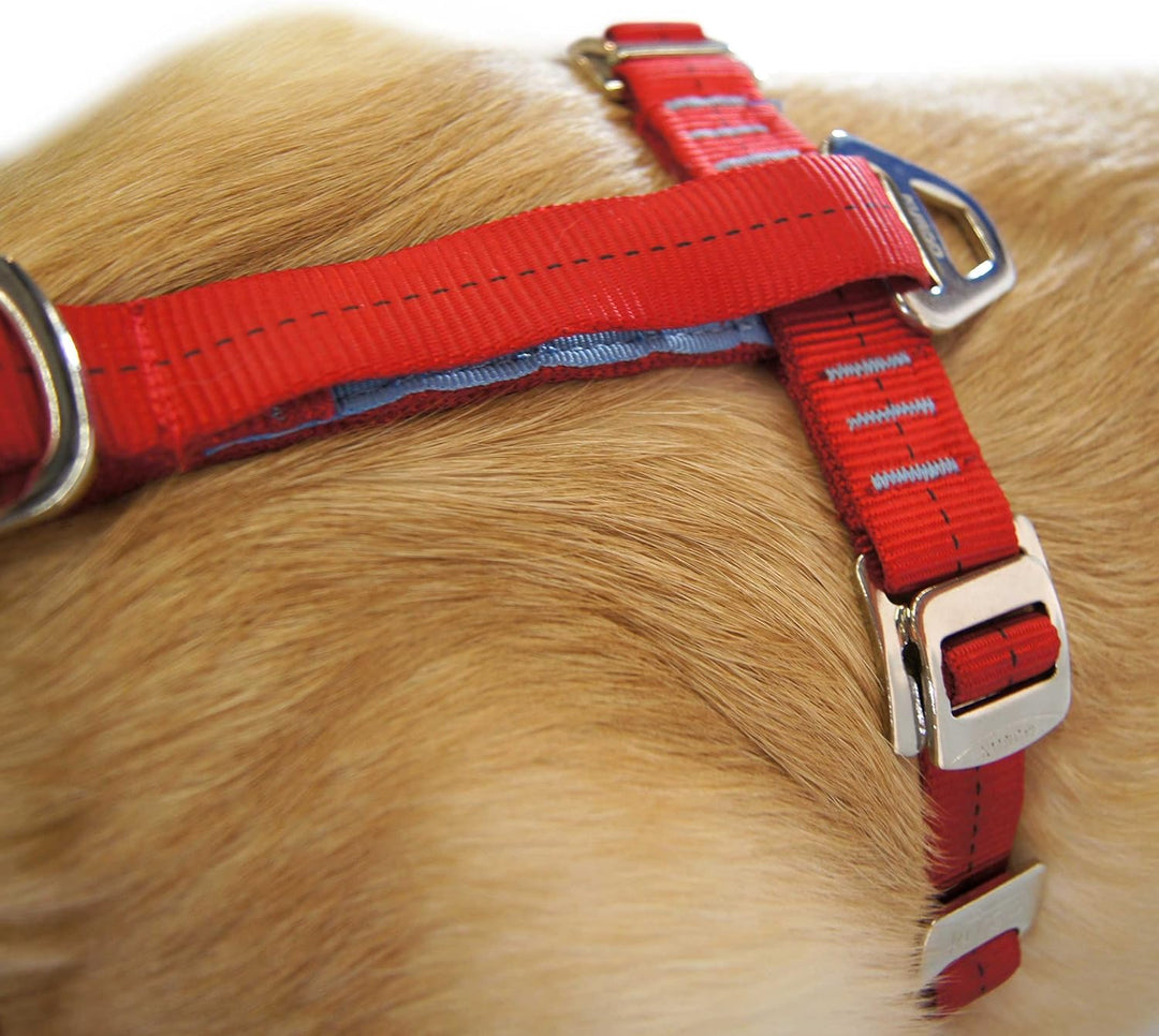 Kurgo Tru-Fit Autosicherheitsgeschirr für Hunde, Mit gepolstertem Brustteil und D-Ring, Mit Autogurt