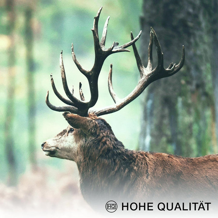 Novart Bilder Set - AUFHÄNGFERTIG - KEIN EXTRA RAHMEN BENÖTIGT - Wald Hirsch Modern Natur Grün - Woh