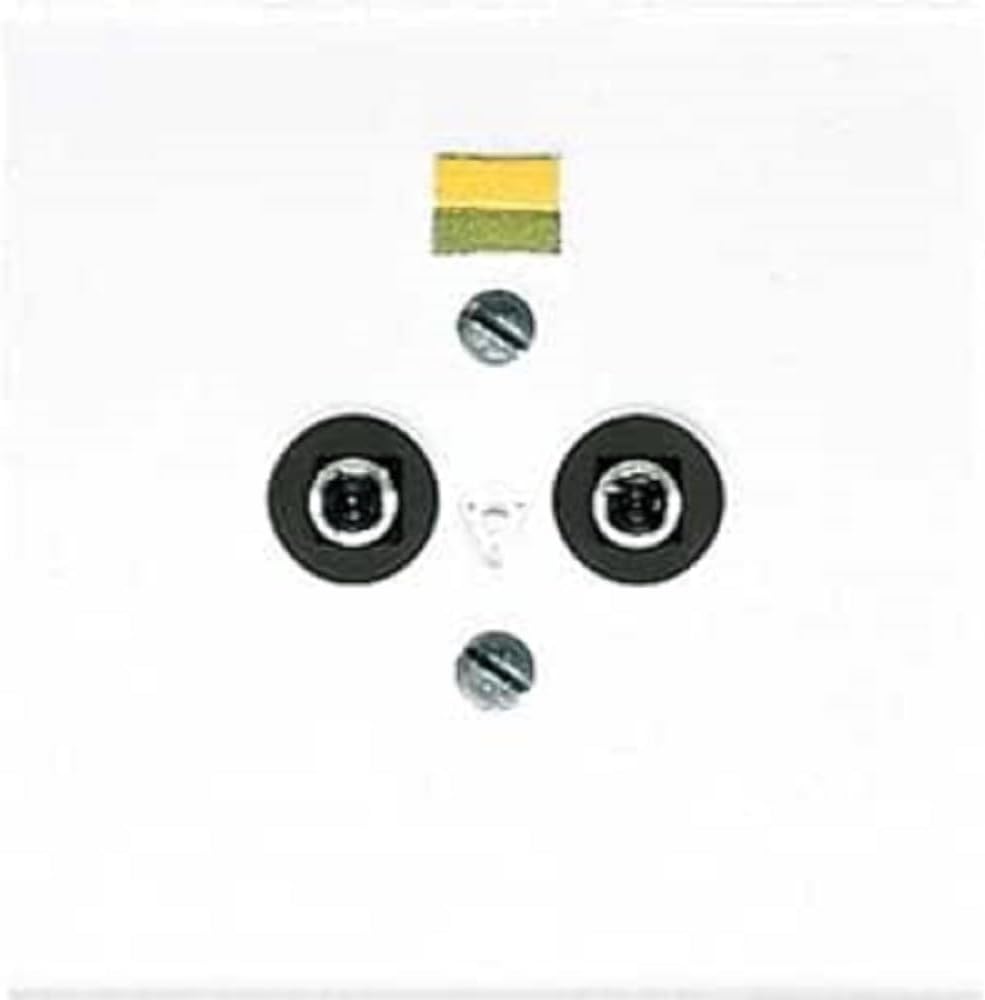 Jung PONTENTIAL-AUSGL.-STECKDOSE LS 965-2 WW