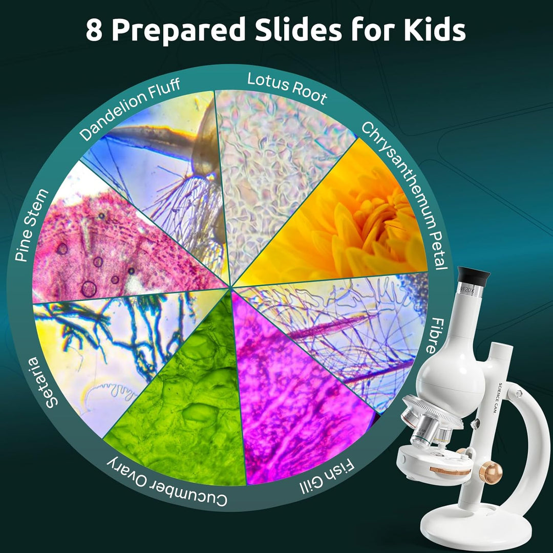 Science Can Mikroskop für Kinder 40X-1600X LED Studentenmikroskop mit 8 Vorbereiteten Dias Biologie-