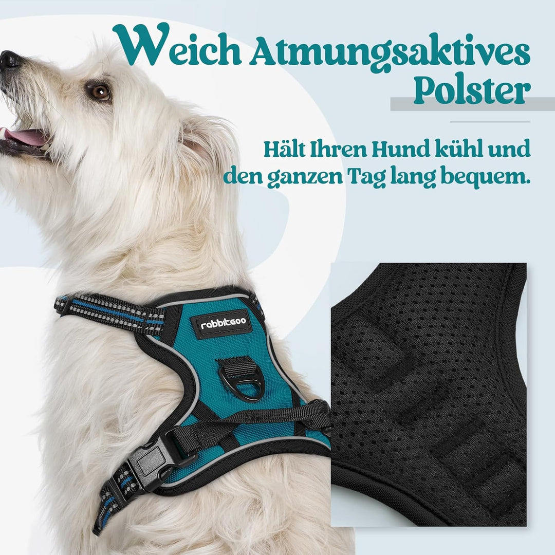 rabbitgoo Hundegeschirr Kleine Hunde, Anti Zug Geschirr mit Kontrolle, No Pull Verstellbar Hundegesc