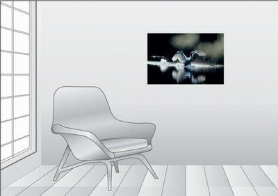 Premium Textil-Leinwand 75 x 50 cm Quer-Format Ein Bild SWANS Kalender. weiss Eleganz | Wandbild, HD