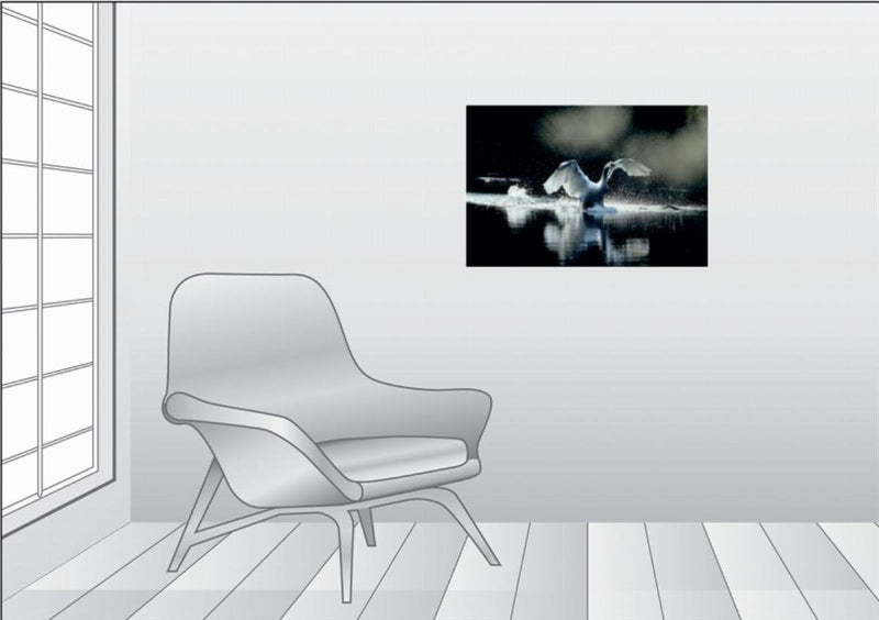 Premium Textil-Leinwand 75 x 50 cm Quer-Format Ein Bild SWANS Kalender. weiss Eleganz | Wandbild, HD