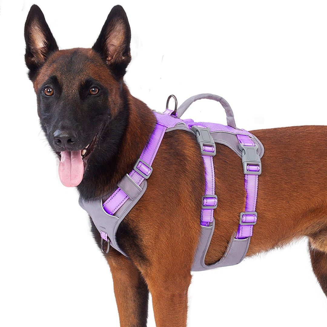 Huntboo Sicherheitsgeschirr Hund Ausbruchsicher, Panikgeschirr für Hunde, Reflektierendes Geschirr H