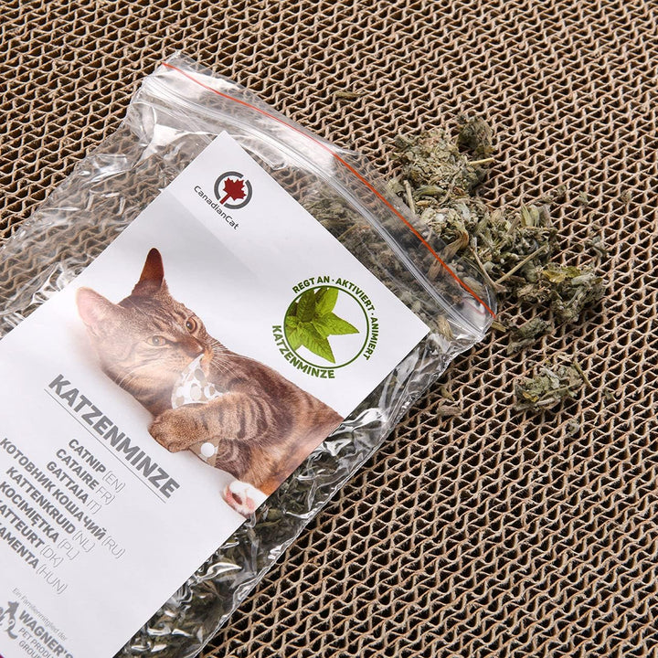 CanadianCat Company | Kratzkarton Comet L | 60 x 29 x 7 cm | Kratzmöbel, Kratzbrett | XL Qualitäts-P