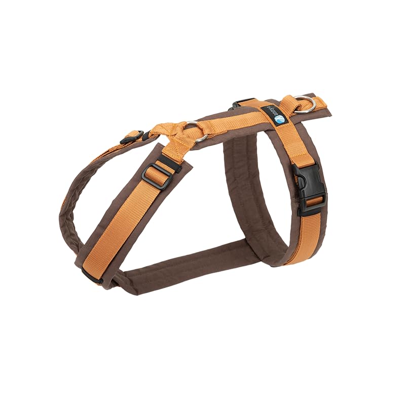 Anny-X Brustgeschirr Fun | Farbe Braun-Bernstein | Hundegeschirr in Grösse S (Brustumfang 52-64 cm)