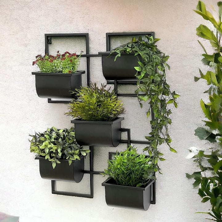 DanDiBo Kräuterregal Küche Wand Metall Schwarz 96525 Wandregal Blumenregal Pflanzenhalter Wandblumen