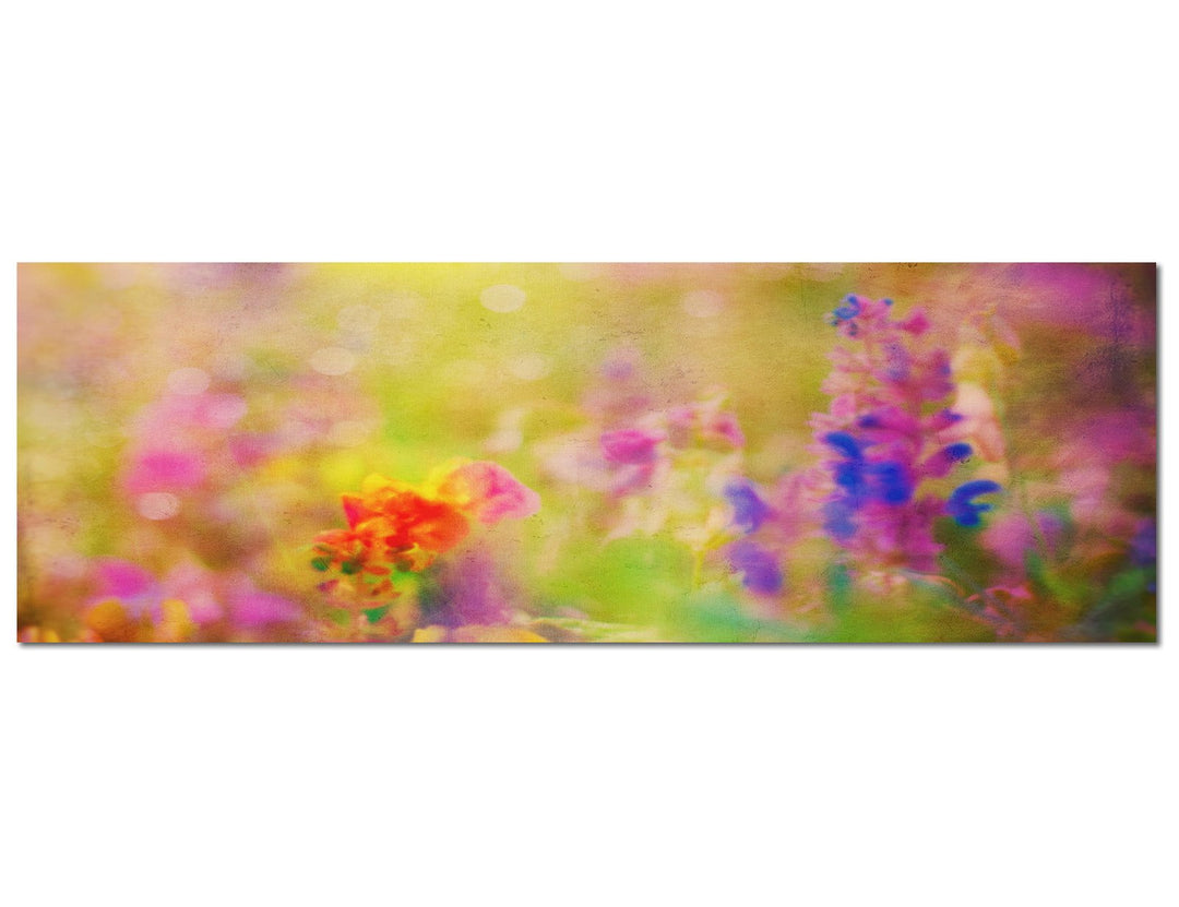 Paul Sinus Art Panoramabild auf Leinwand und Keilrahmen 120x40cm Blumenwiese Frühling bunt abstrakt