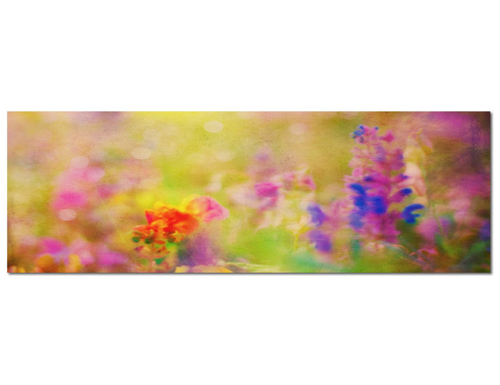 Paul Sinus Art Panoramabild auf Leinwand und Keilrahmen 120x40cm Blumenwiese Frühling bunt abstrakt