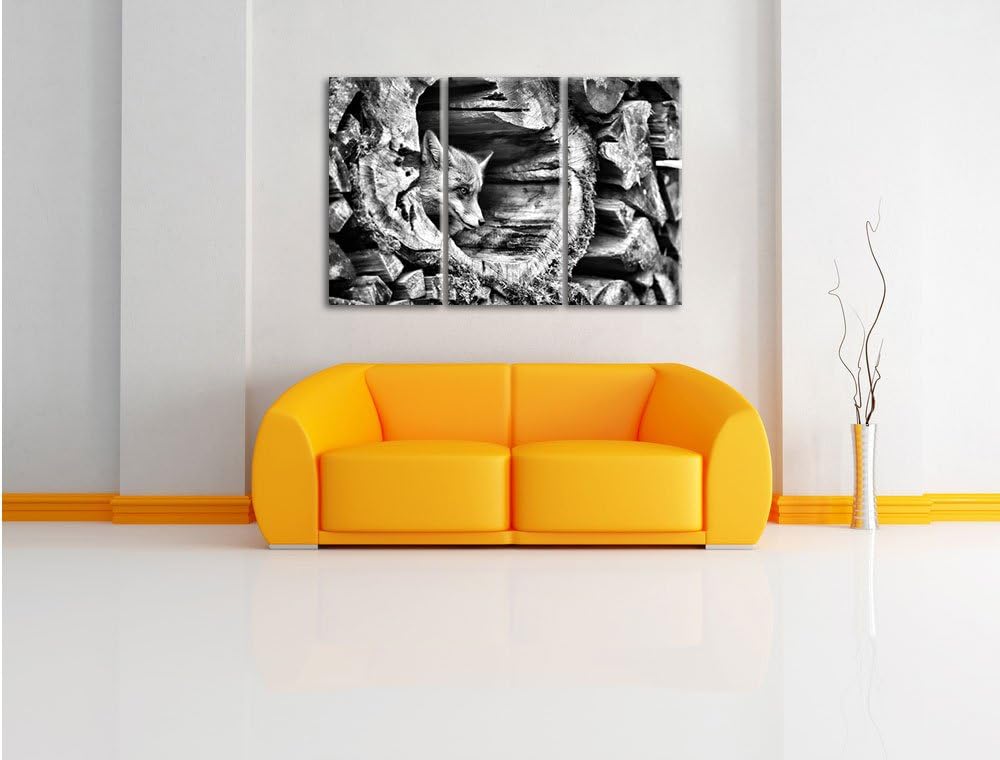 Pixxprint Fuchs im Baumstamm als Leinwandbild/Grösse: 3 Teilig (120x80) / Wandbild/Kunstdruck/fertig