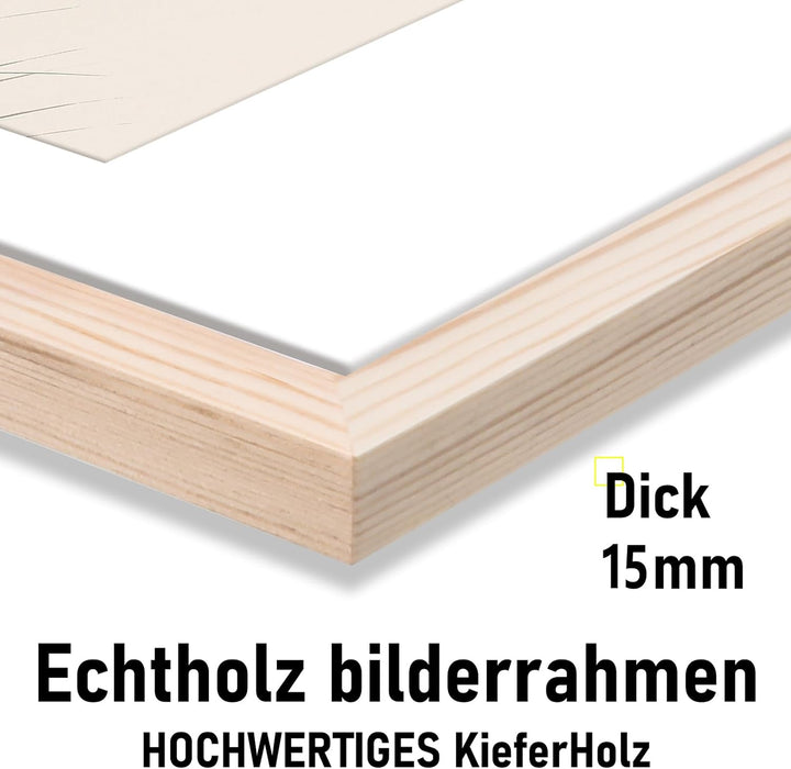 kollyseek Bilderrahmen Din A3(29.7x42cm) Echtholz mit Passepartout Holz Rahmen mit Acrylglas Kieferh