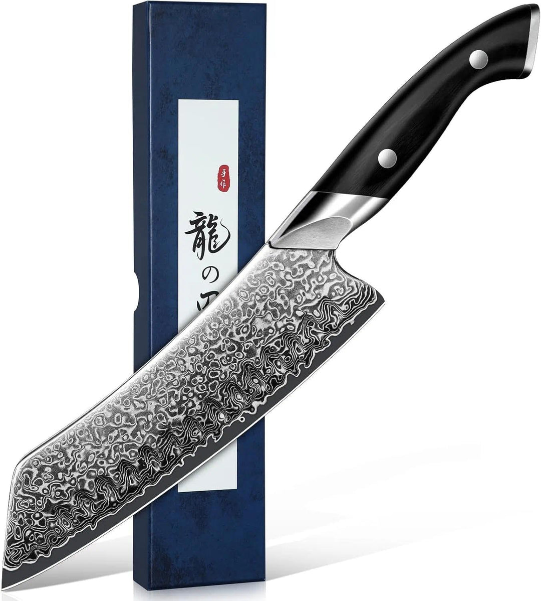 DRAGON RIOT Damastmesser, Japanisches Fleischmesser extrem scharf, Handgeschmiedete Kochmesser profi