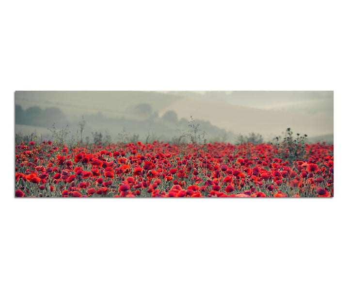 Paul Sinus Art Panoramabild auf Leinwand und Keilrahmen 150x50cm Mohnblumen Feld Nebel Sonnenaufgang