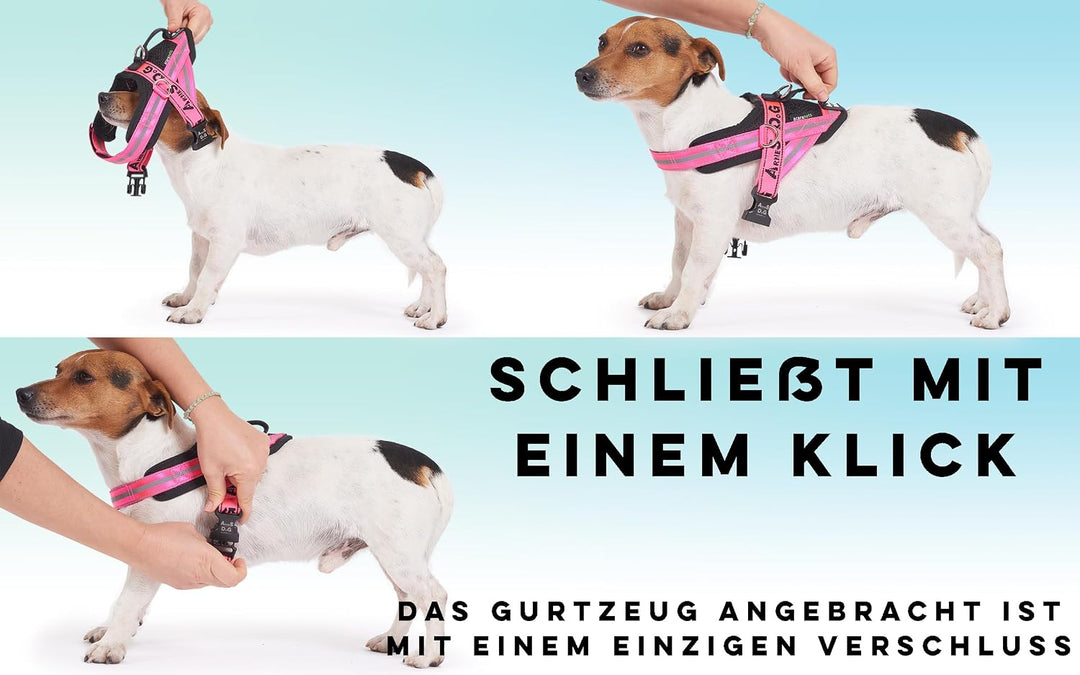 Hundegeschirr mit 3 Metallösen zur Befestigung Ihrer Brust oder Ihres Brustgurts, um Ihren Hals Nich