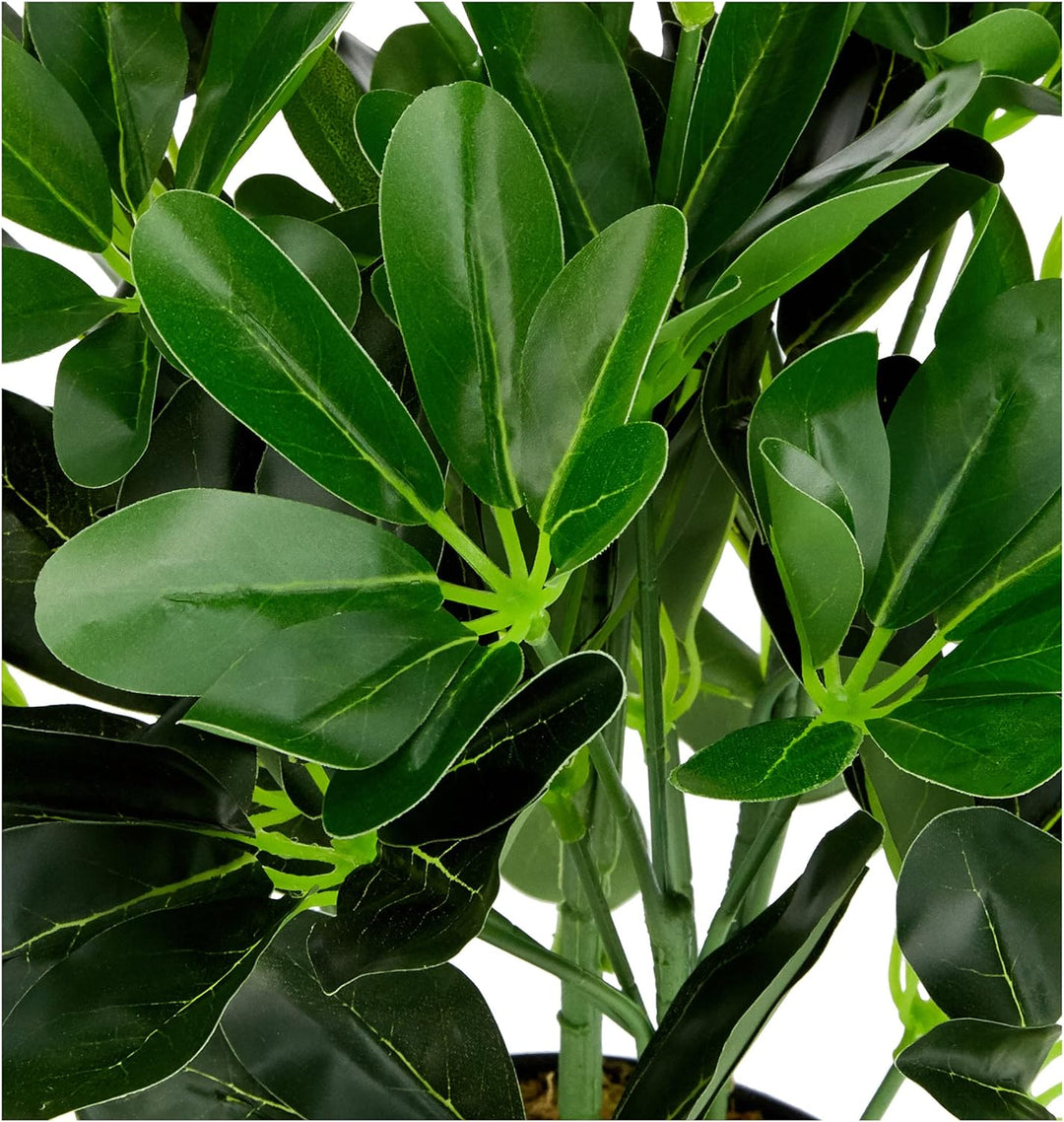 Leaf Künstlicher Schefflera Arboricola Regenschirm, 55 cm, schwarzer Kunststoff-Topf, dunkelgrüne Pf