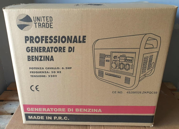 UNITED TRADE Verbrennungsgenerator / Elektrogenerator / Stromerzeuger HP 6.5 Elektrostart mit Schlüs