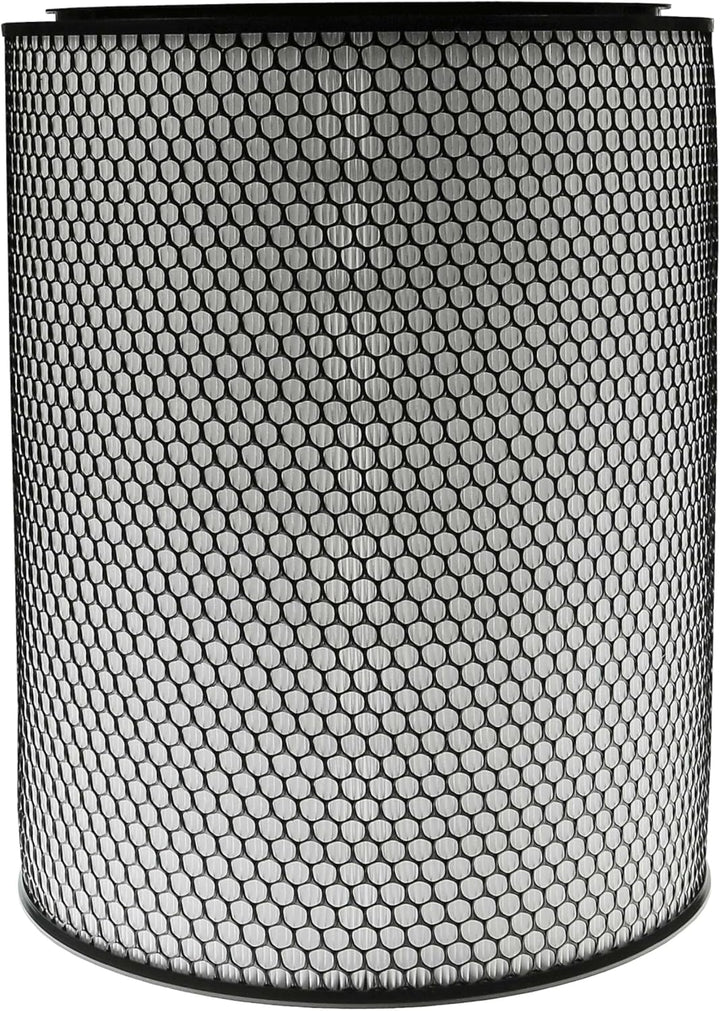 vhbw 2x HEPA 13 Filter kompatibel mit Dyson HEPA Big+Quiet Formaldehyde BP06 Luftreiniger - Ersatz-F