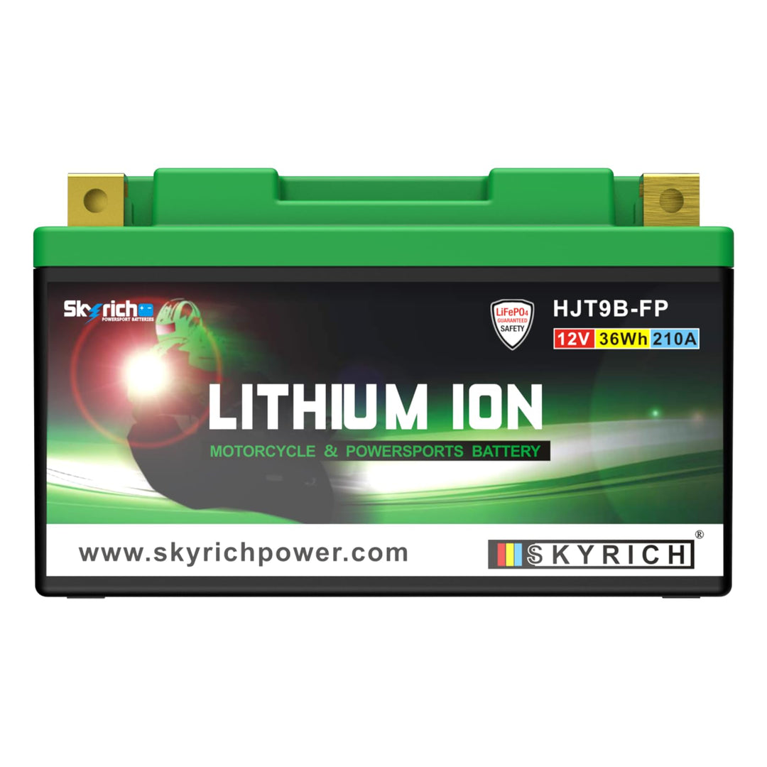 Skyrich HJT9B-FP Starterbatterie