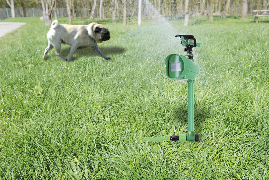 Royal Gardineer Katzen-Vertreiber: 4er-Set Wasserstrahl-Tierschrecke, PIR-Sensor, Batteriebetrieb, 1