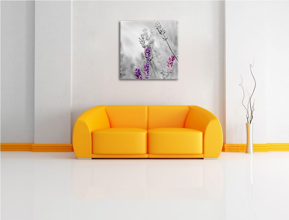 Pixxprint schöner Lavendel als Leinwandbild Quadratisch/Grösse: 70x70 / Wandbild/Kunstdruck/fertig b