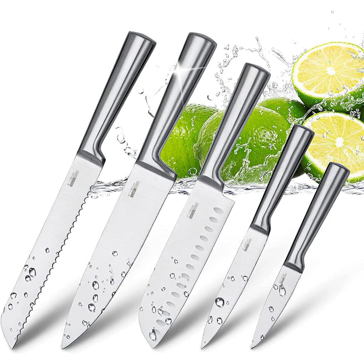 HUIKAILI Messer Set 5-TLG, Profi Küchenmesser Set aus Edelstahl, Scharfes, Rutschfester, Gefrosteter