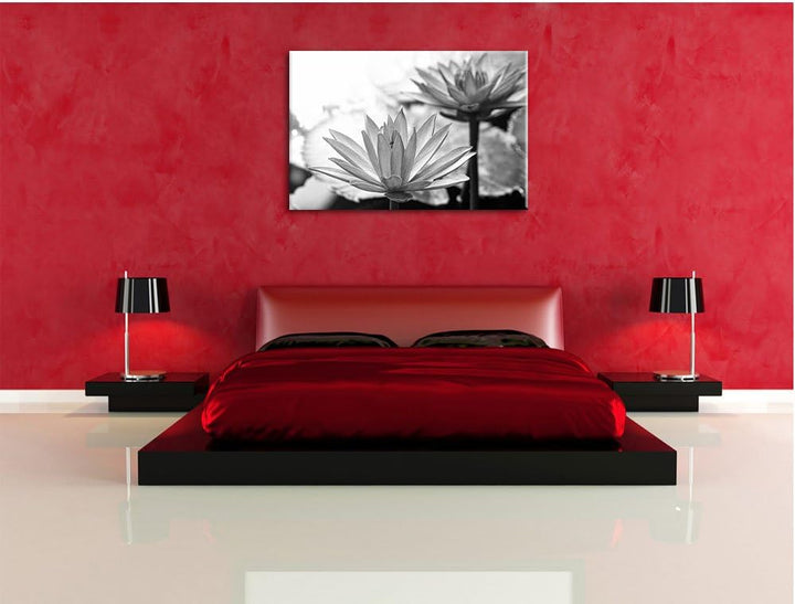 Pixxprint Lilafarbene Wasserlilie Kunst B&W, Format: 100x70 auf Leinwand, 100x70
