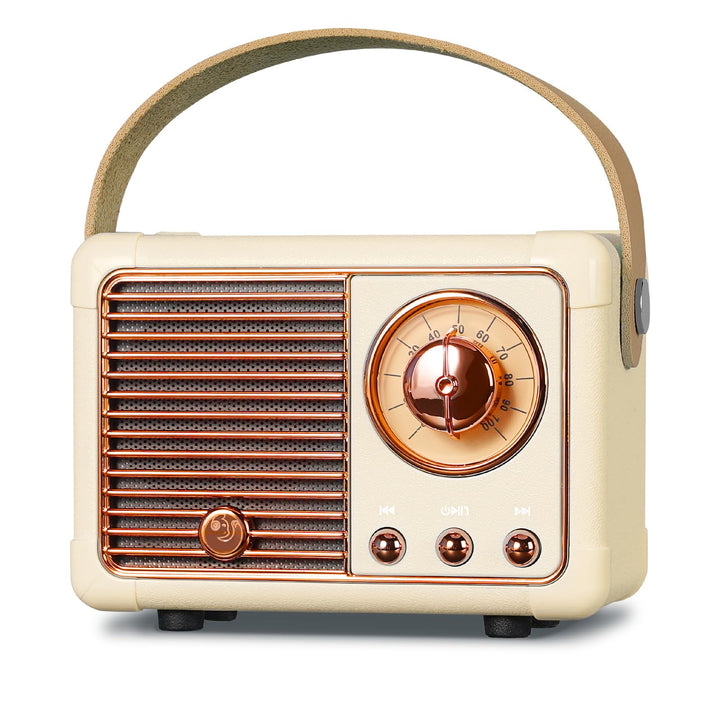 PRUNUS J-999 Mini Bluetooth Lautsprecher mit Radio FM, Retro Radio Bluetooth Speaker Wiederaufladbar
