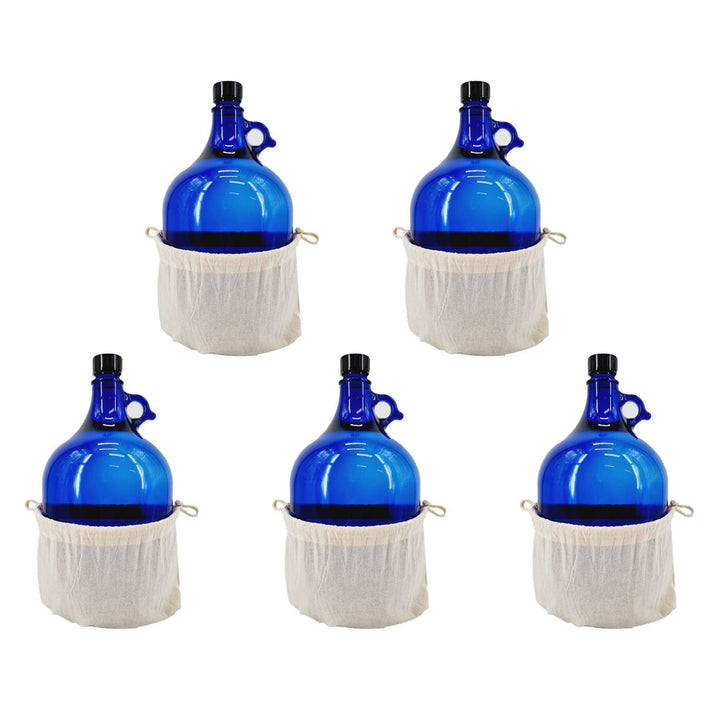Albert's Premium Selection 5 Liter Henkelflasche/Glasballon, blau, inkl. Deckel und Baumwollbeutel (