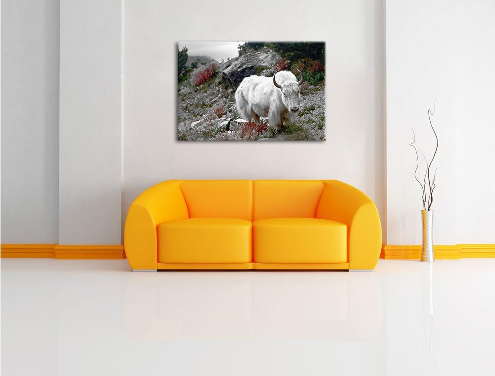 Pixxprint Schönes Yak Himalaya als Leinwandbild/Grösse: 100x70 / Wandbild/Kunstdruck/fertig bespannt