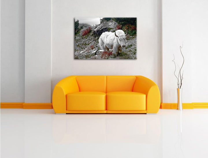 Pixxprint Schönes Yak Himalaya als Leinwandbild/Grösse: 100x70 / Wandbild/Kunstdruck/fertig bespannt