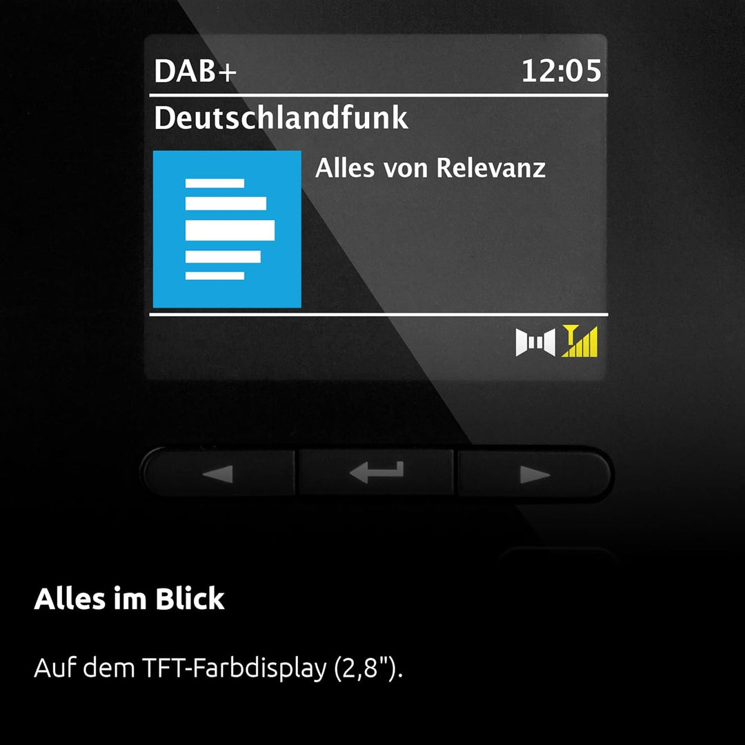 TechniSat DIGITRADIO 215 Deutschlandradio Edition - portables DAB Radio (DAB+, UKW, Farbdisplay, sec