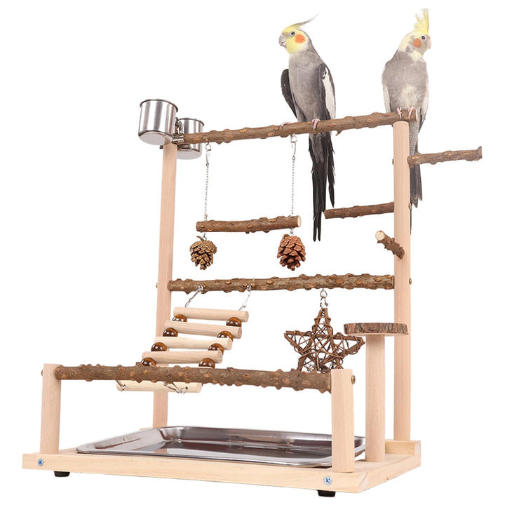 Vogelspielplatz Wellensittich Spielplatz Spielzeug, Grosser vogel Spielplatz mit Schaukel Sitzstange