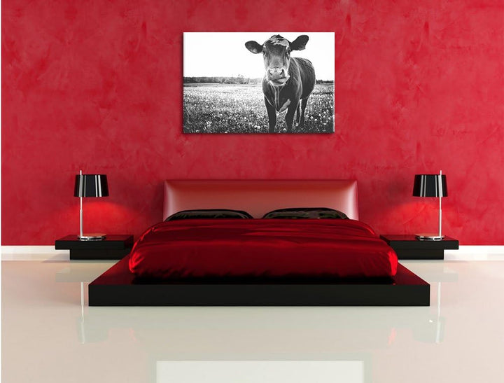 Pixxprint Einzelne Kuh auf Butterblumenwiese in der Abendsonne Kunst B&W, Format: 100x70 auf Leinwan
