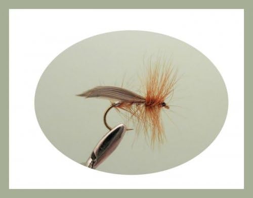 Sedge Forellenfliegen, 24 Stück, verschiedene Grössen, Schwarz, Silber, Elch, Hirsch