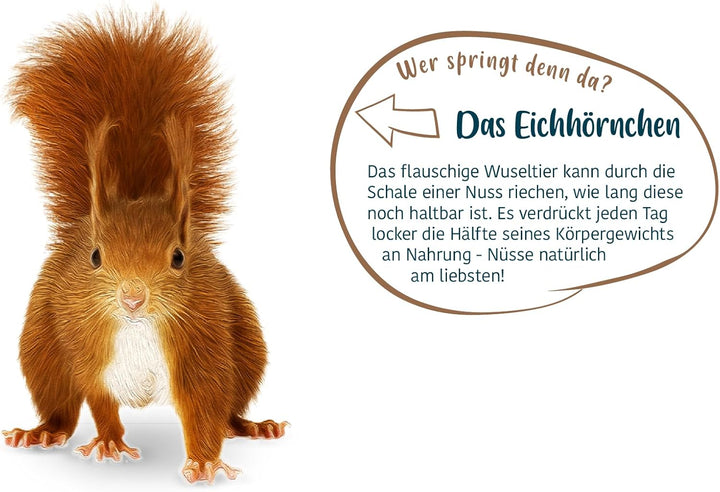 Elles Eichhörnchenfutter 5 x 600g I Nussige Vielfalt I Vitamine für Winter I Mit Erdnüssen, Hasel-,