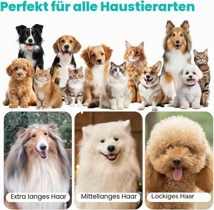 Neakasa P1 Pro Hundeschermaschine mit Staubsauger, leise Schermaschine Hund Katze, Profi Haustierpfl