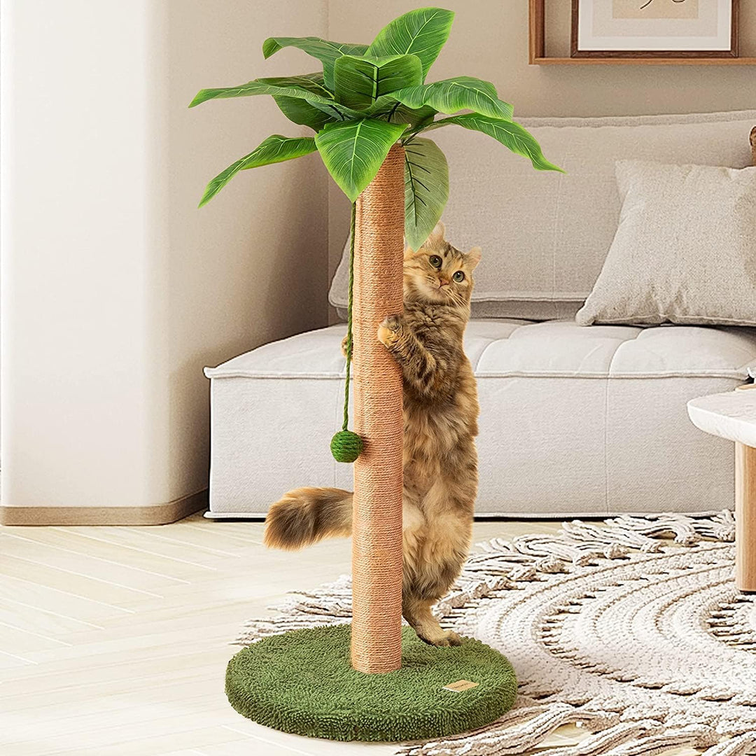 Kratzsäulen 84 cm niedlicher Katzenkratzer Kätzchen Kratzbaum mit Sisalseil für Wohnungskatzen Palme