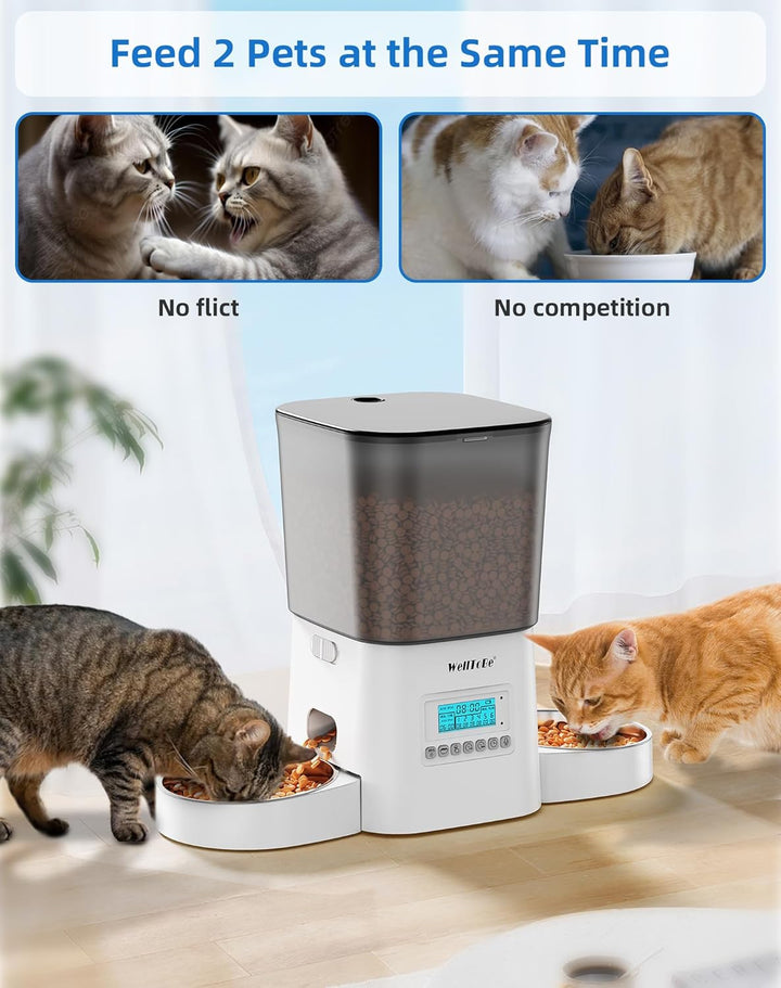 WellToBe Futterautomat für 2 Katzen, Automatischer Futterspender für 2 Haustiere mit Trockenmittelbe