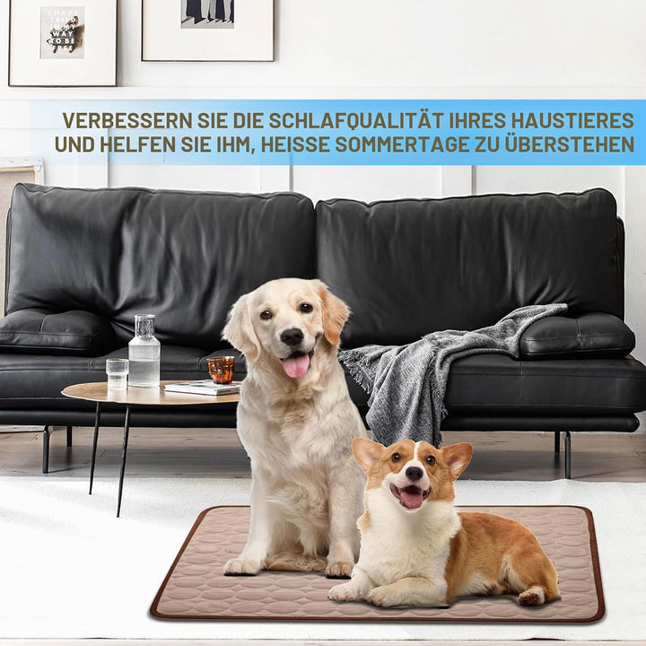Kühlmatte Hunde, 70×55 cm Pet Cooling Mat, Kühldecke für Tiere, Abwischbar, Robust, Kühlmatte für Hu