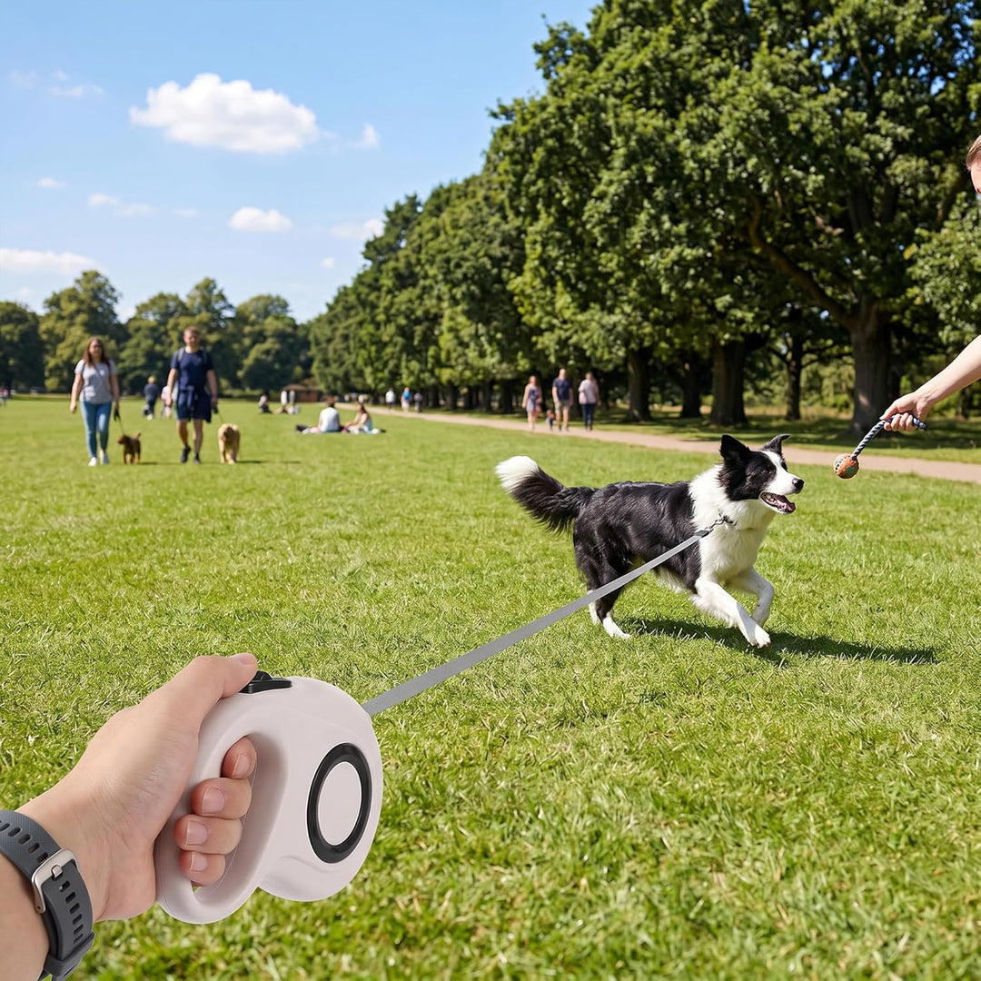 AIITLE Ausziehbare Hundeleine, 5m Flexi Hundeleine für Kleine und Mittlere Hunde bis 15 kg, 360° Dre
